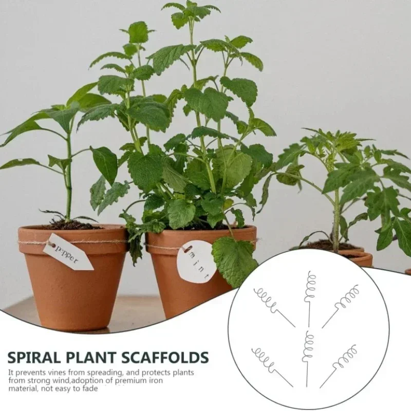 Climbing Plant Support Stake S - Bonsai Garden Plants review and price