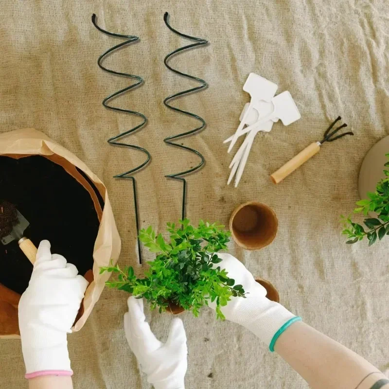 Climbing Plant Support Stake S - Bonsai Garden Plants review and price