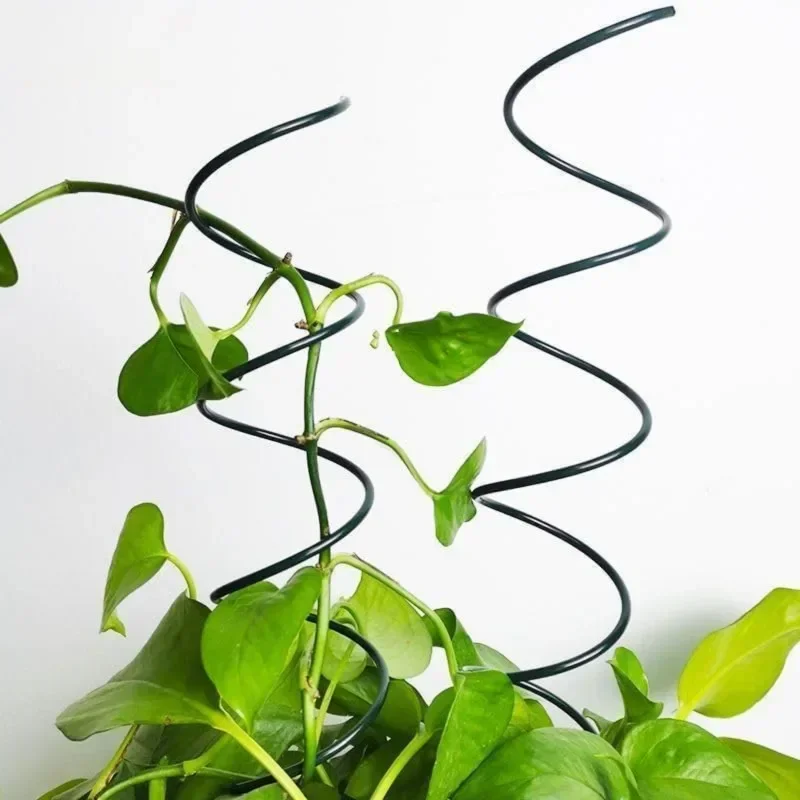 Climbing Plant Support Stake S - Bonsai Garden Plants review and price