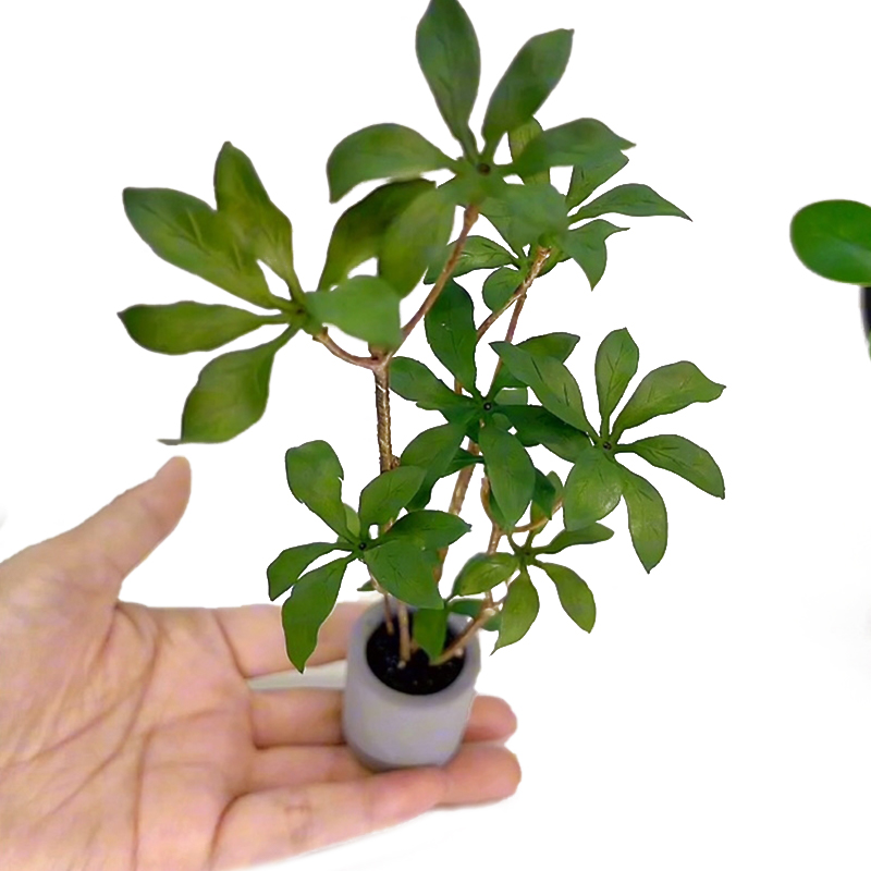 1:6 Dollhouse Miniature Potted - Bonsai Garden Pot review and price