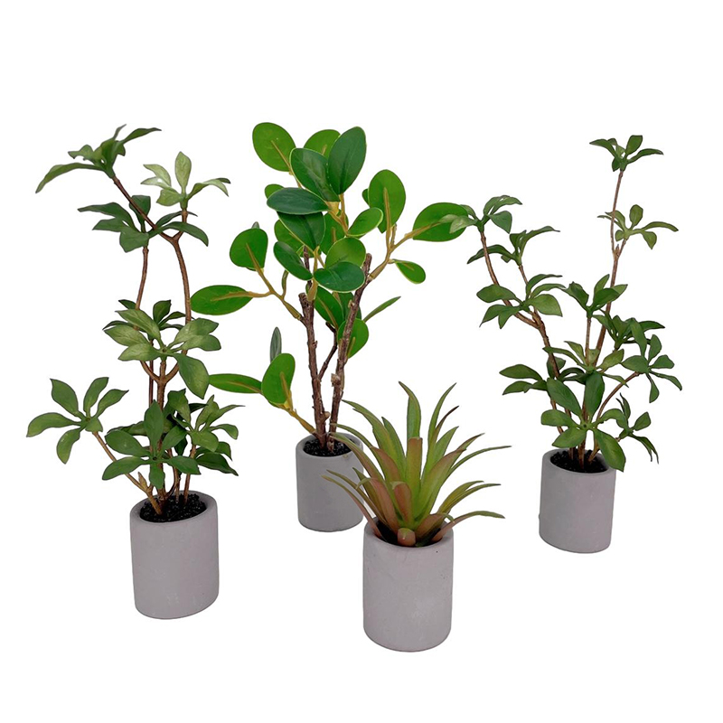 1:6 Dollhouse Miniature Potted - Bonsai Garden Pot review and price