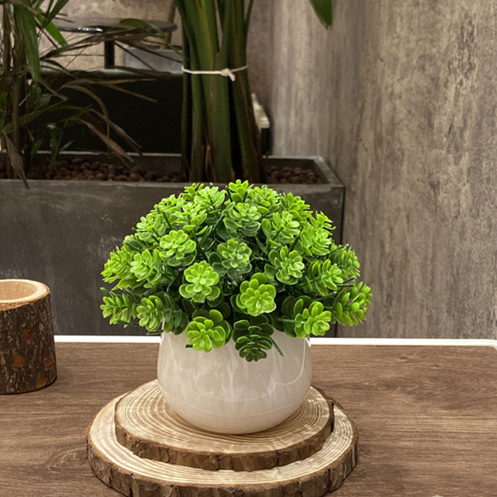 Realistic Fake Bonsai Artifici - Bonsai Garden And Cafe review and price