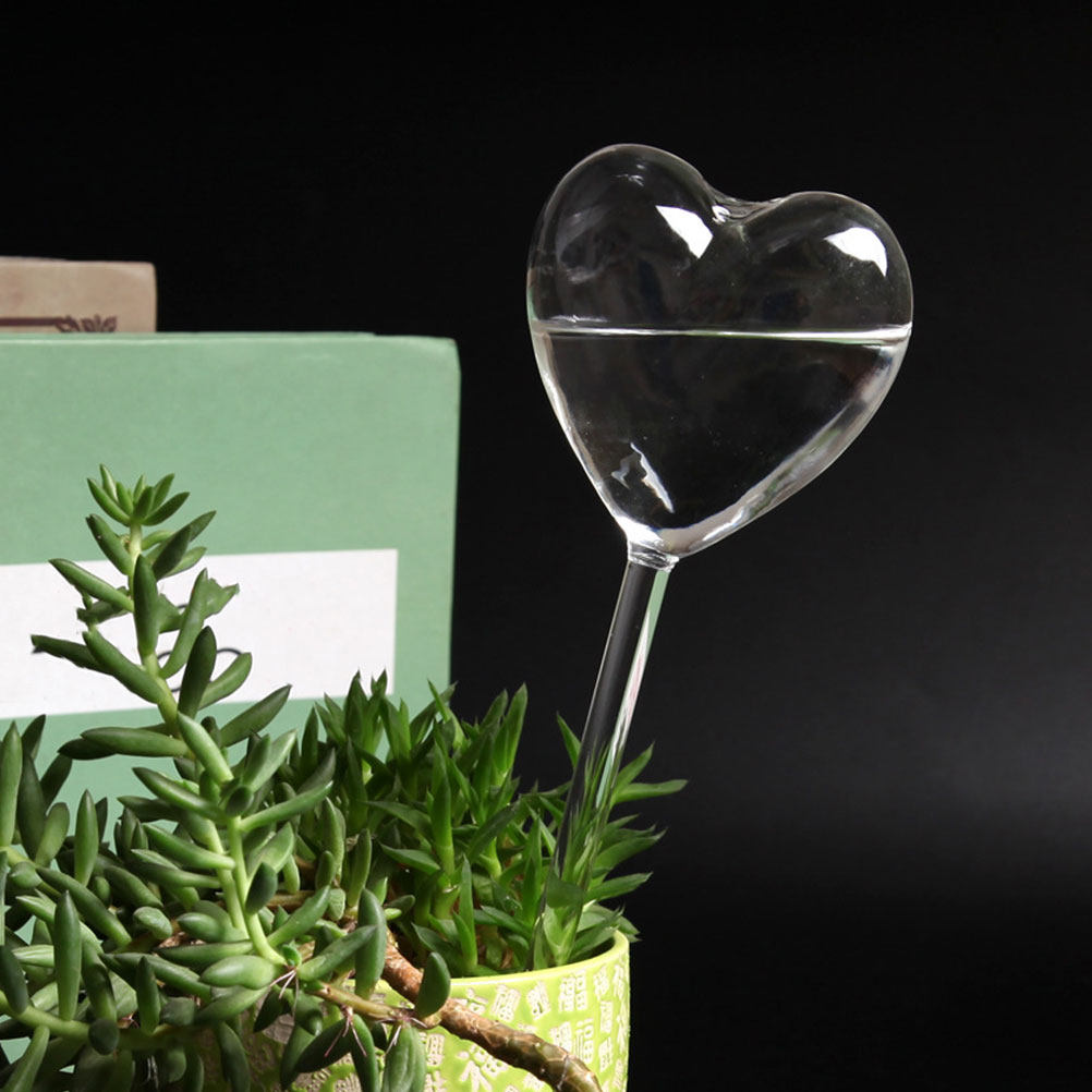 3Pcs Heart Shaped Glass Self W - Bonsai Garden Pot review and price