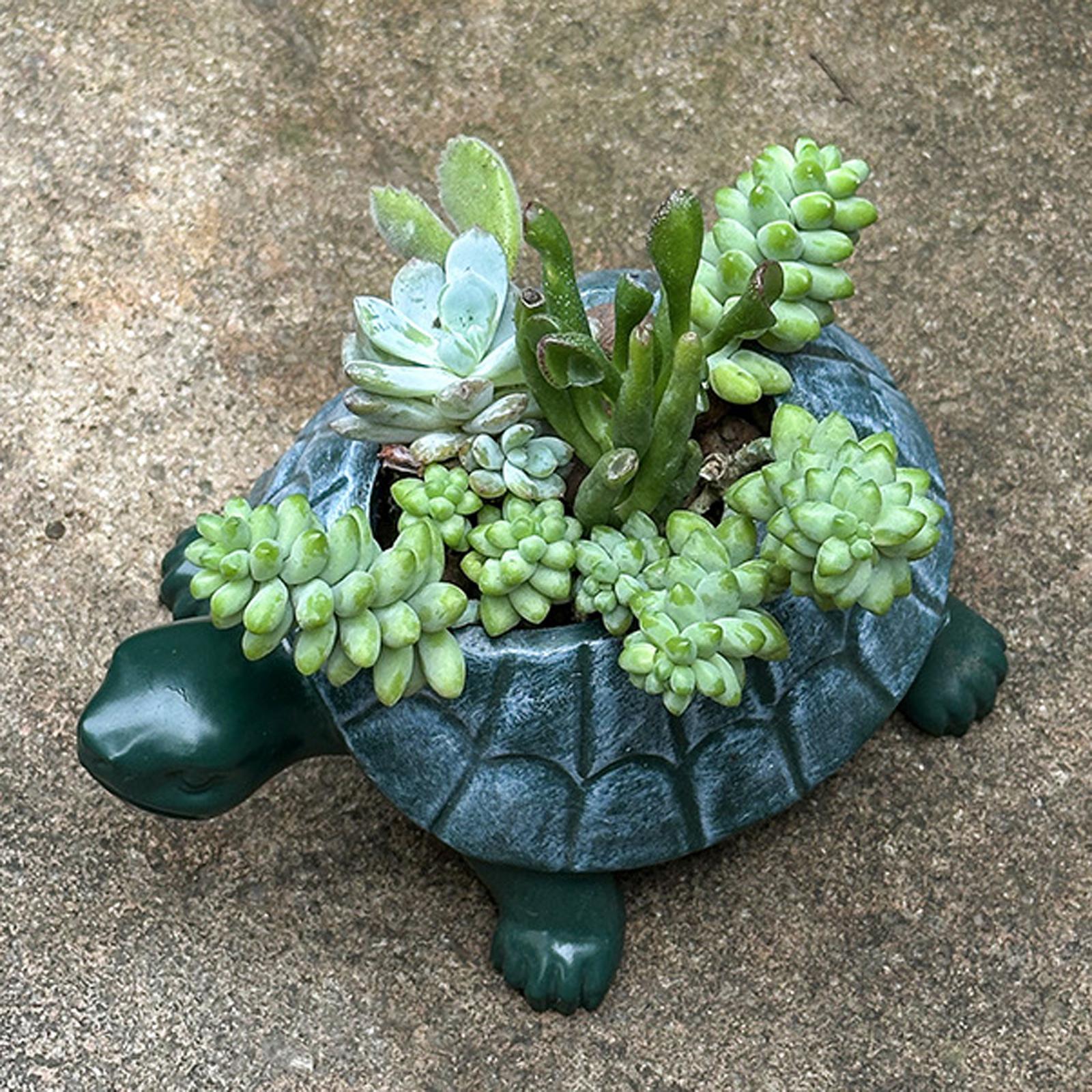Turtle Planter Flower Pot Bons - Bonsai Garden Restaurant review and price