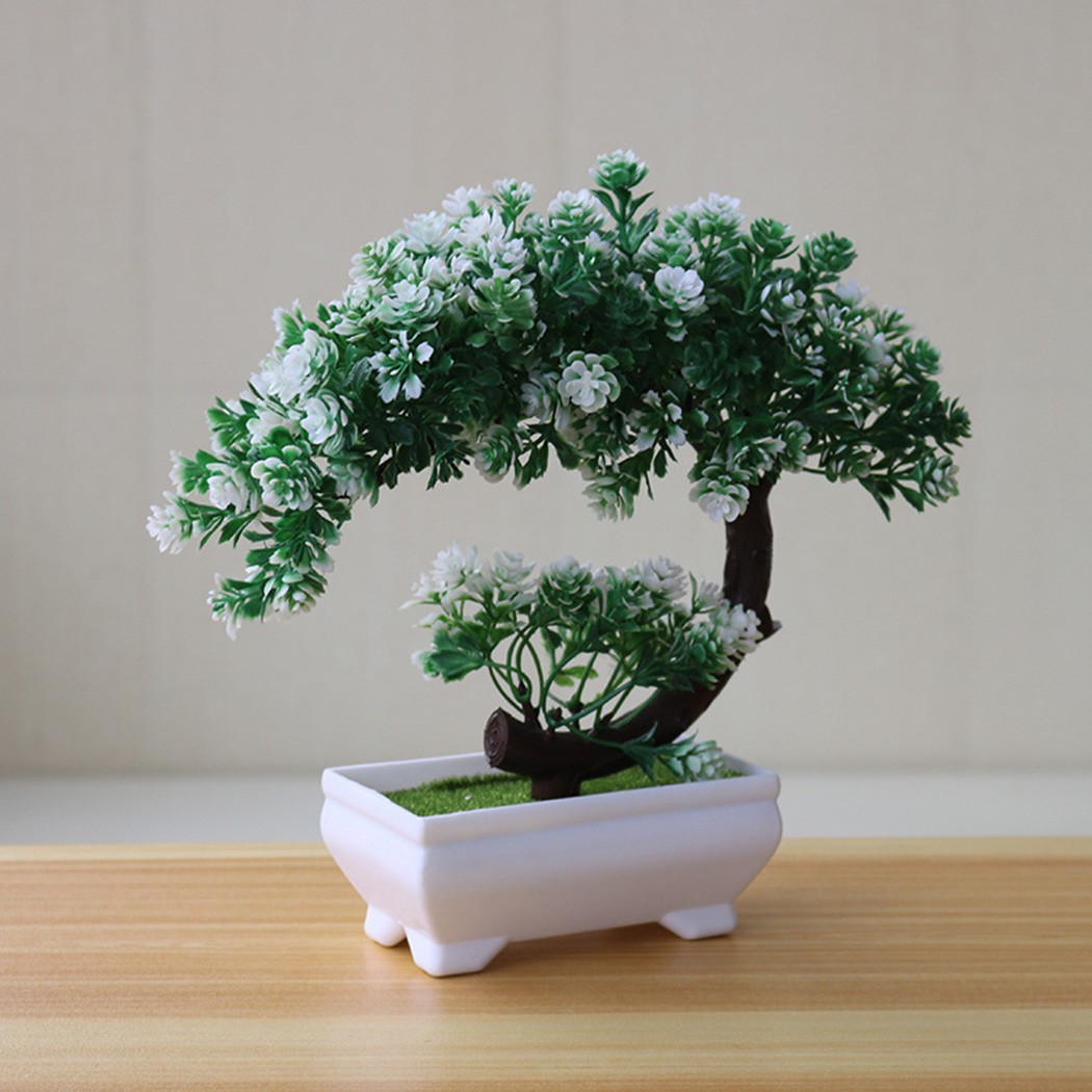 Plastic potted bonsai ornament - Bonsai Garden Desk review and price