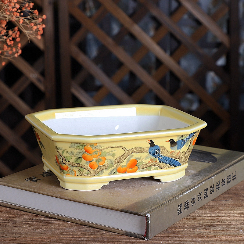 Porcelain Rectangle Bonsai Pot - Bonsai Garden Desk review and price
