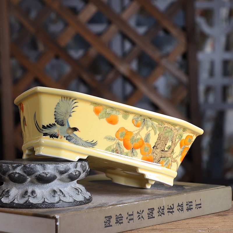 Porcelain Rectangle Bonsai Pot - Bonsai Garden Desk review and price