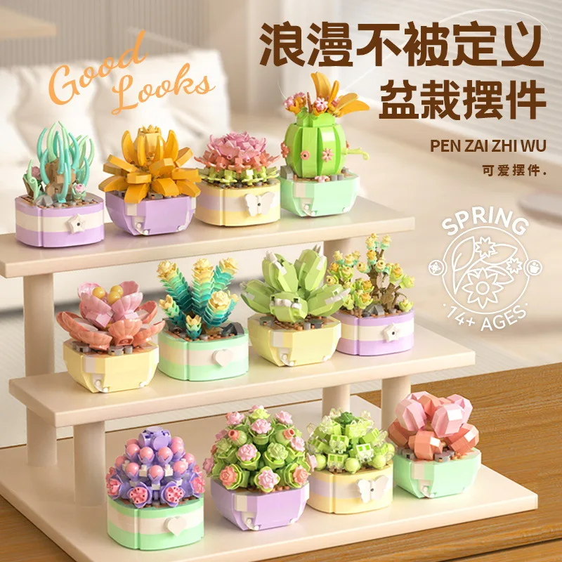 Flower Succulents Building Blo - Bonsai Garden Pot review and price