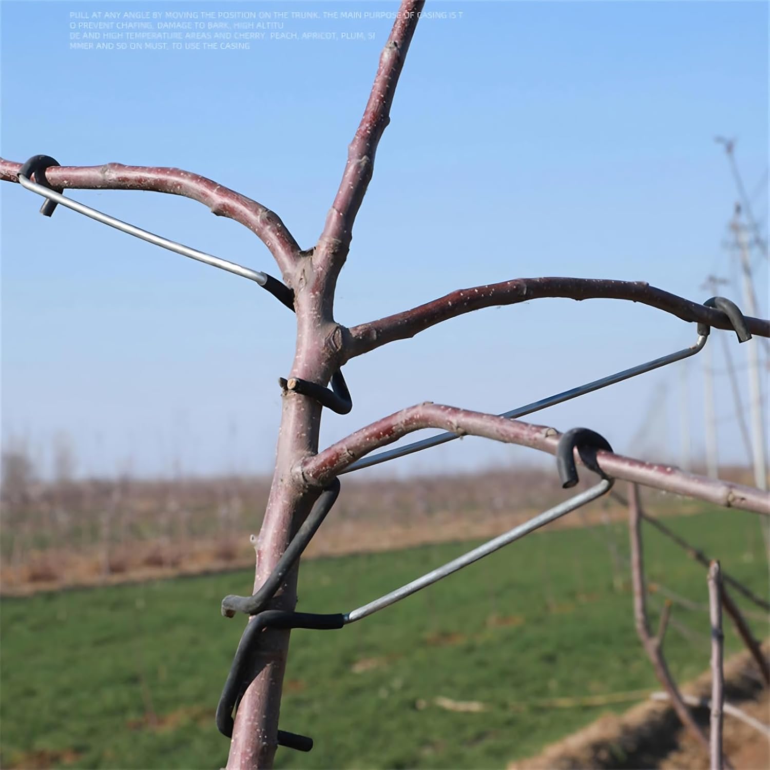 Adjustable Fruit Tree Branch S - Bonsai Garden Plants review and price