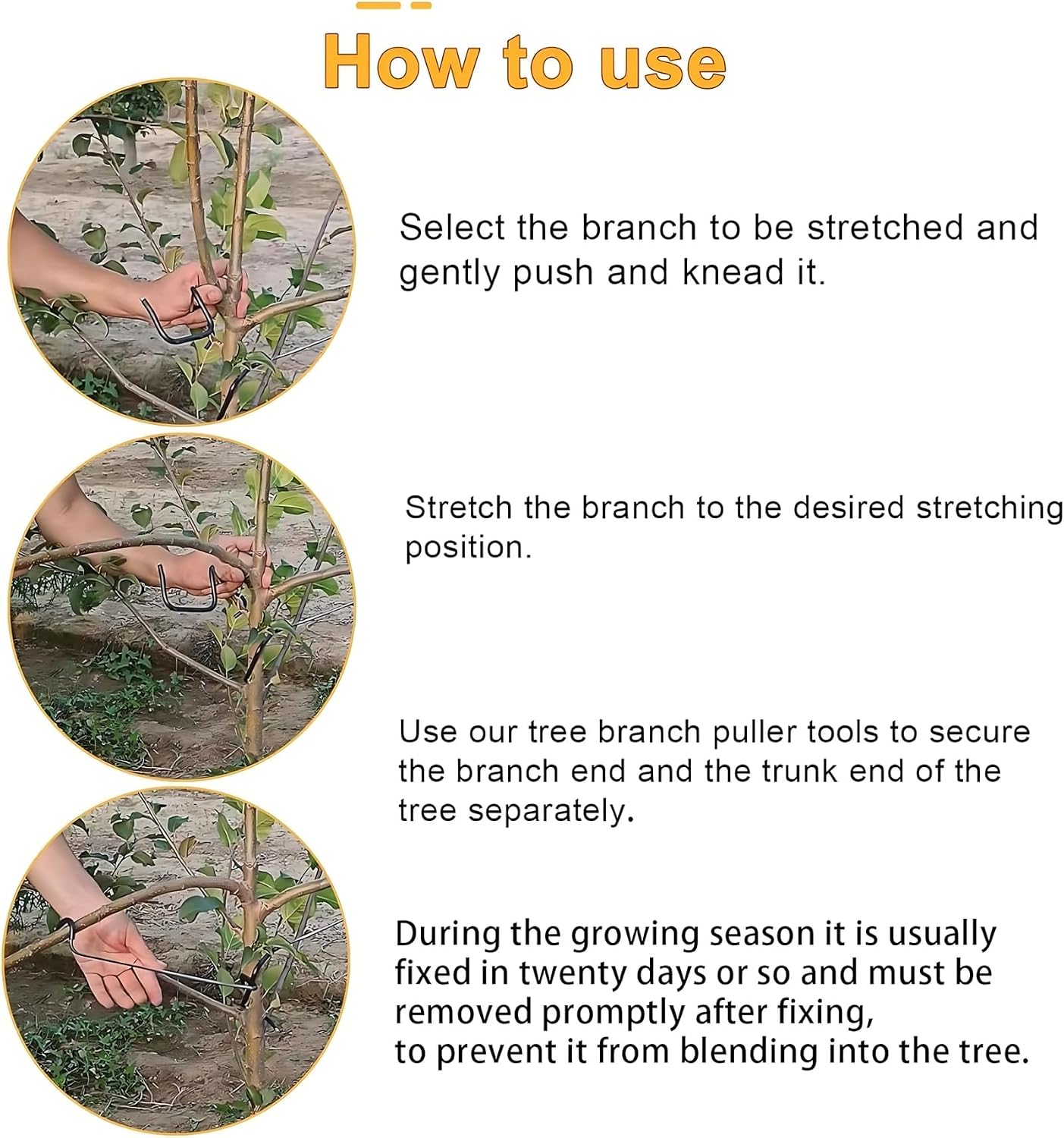 Adjustable Fruit Tree Branch S - Bonsai Garden Plants review and price