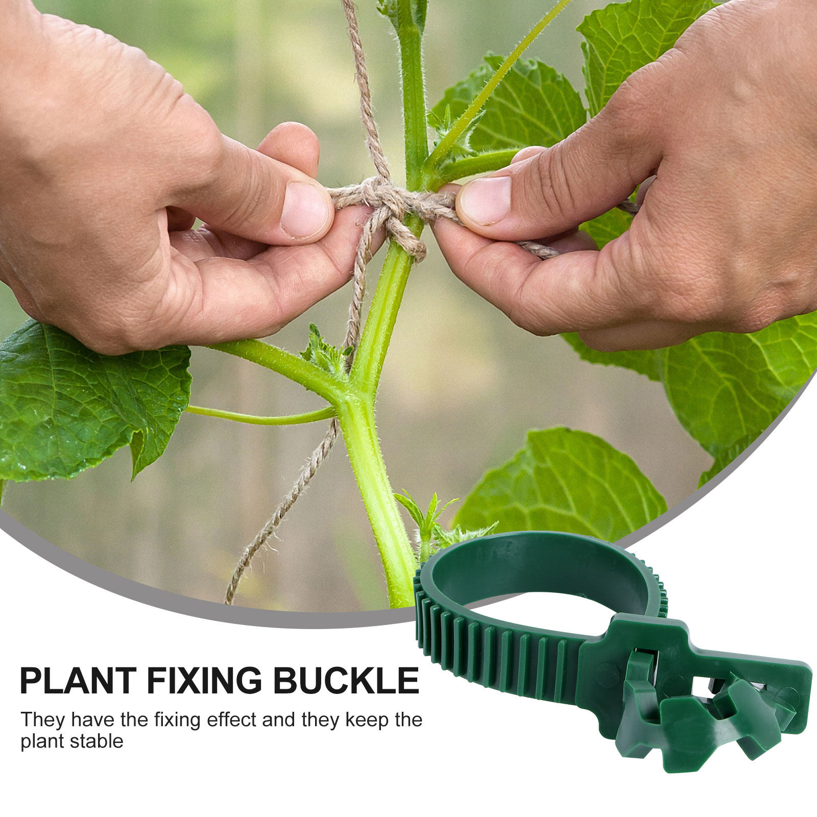 20Pcs Vine Fixing Buckle Garde - Bonsai Garden Plants review and price