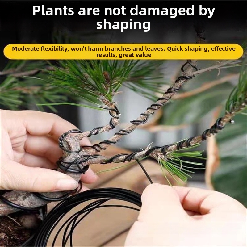1.5MM Bonsai Wires Aluminum Bo - Bonsai Garden Plants review and price