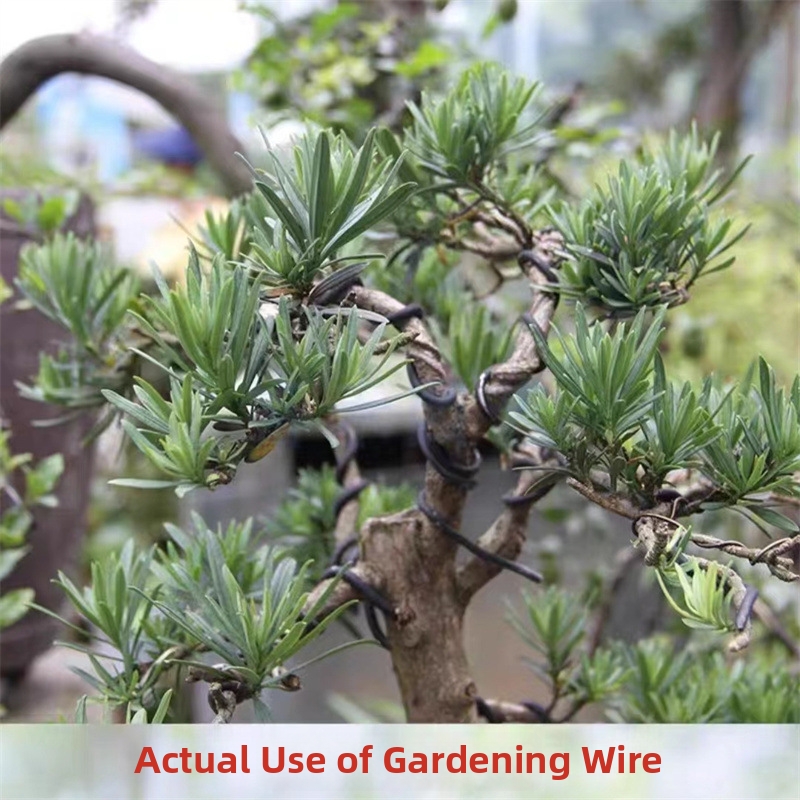 1.5MM Bonsai Wires Aluminum Bo - Bonsai Garden Plants review and price