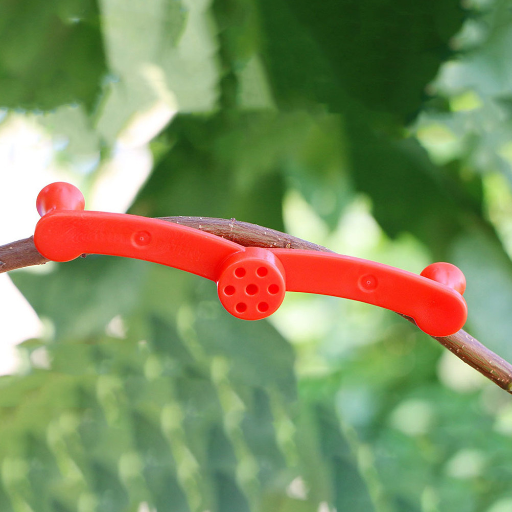 10Pcs Flexible Plant Benders A - Bonsai Garden Plants review and price