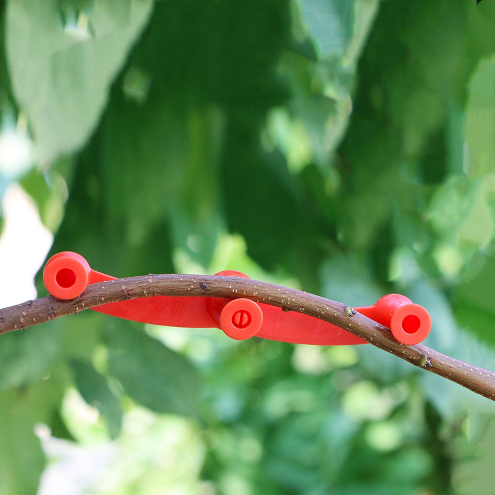 10Pcs Flexible Plant Benders A - Bonsai Garden Plants review and price