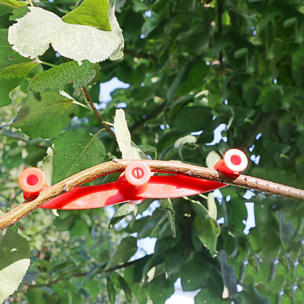 10Pcs Flexible Plant Benders A - Bonsai Garden Plants review and price