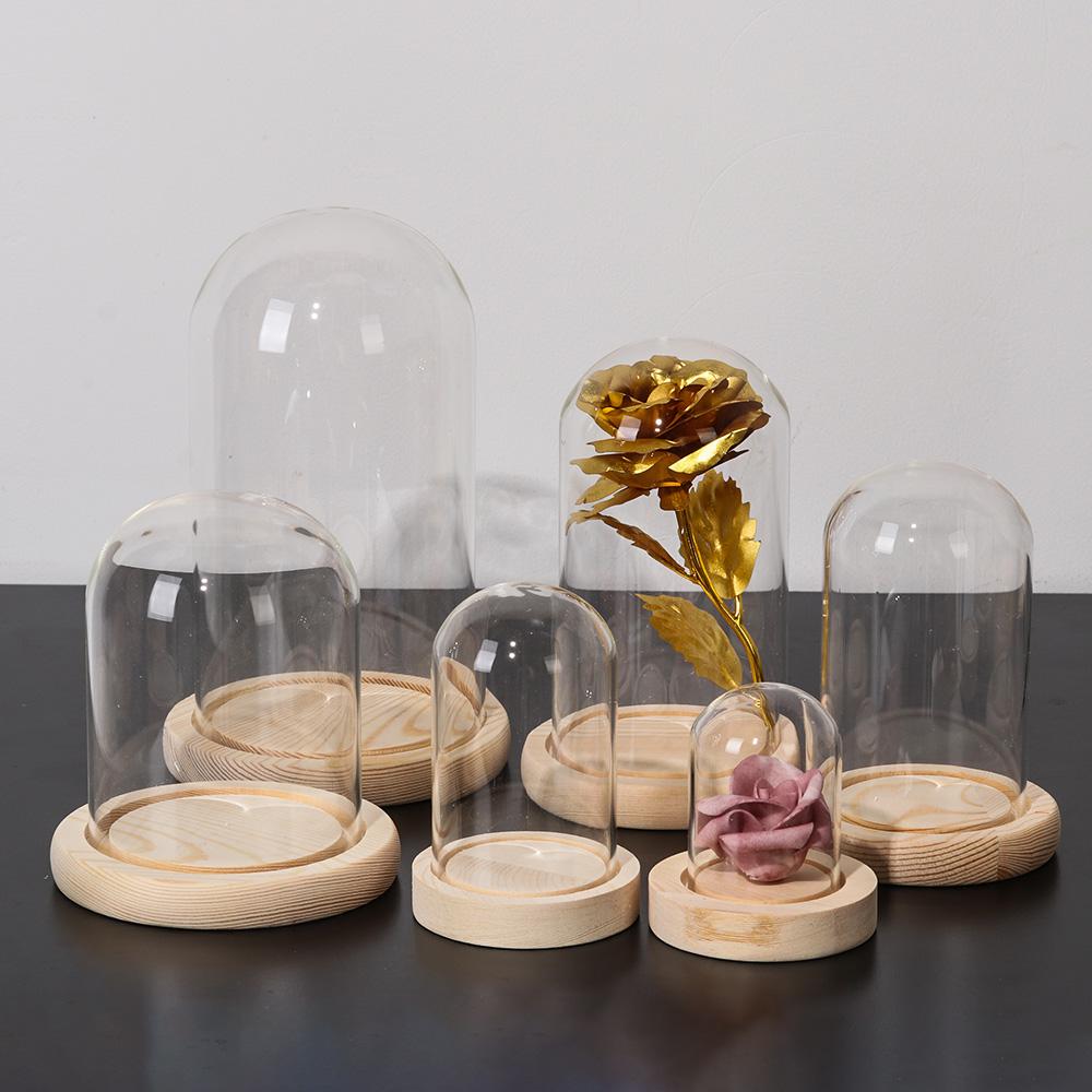 Glass Cloche Jar Display Stand - Display Stand Wood review and price