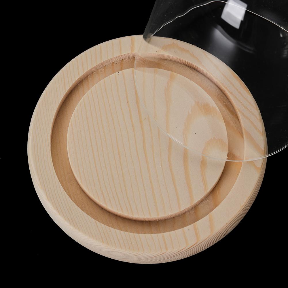 Glass Cloche Jar Display Stand - Display Stand Wood review and price